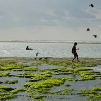 CHEN DAOJUN的照片