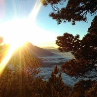 Francisco Javier Sanchez Cruz's Photo