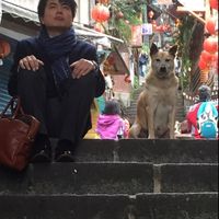 Le foto di Akiho Miyashitum