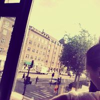 Cecilia Di Gisi's Photo