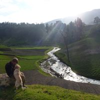 Tom Schelstraete的照片