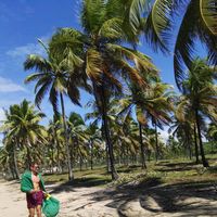 jonathan ariel's Photo