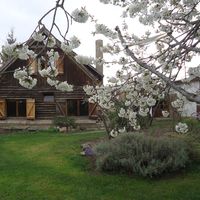 cristina alejandra  fernandez halliday的照片