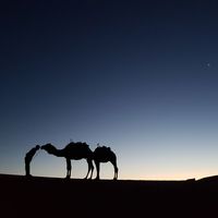 familia sagaoui的照片