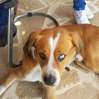 Miltos TheMiltos's Photo