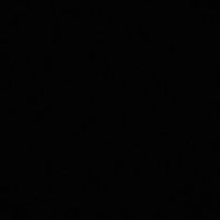 Doglife Heart's Photo