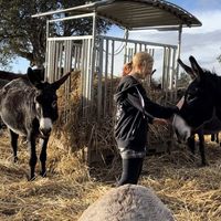 Susan Fernandez Nemes's Photo