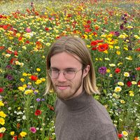 Adrian Moene的照片