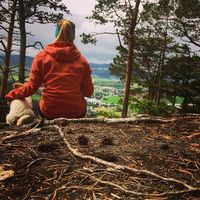 Фотографии пользователя Tabitha de Clive-Lowe