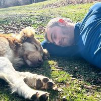 Fotos von Kiarash Angoshtary