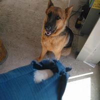 Photos de Pablo Giovana