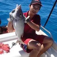 Jimmy.in.Sydney的照片