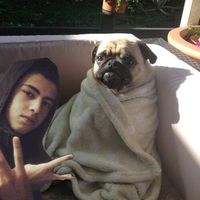 Bernardo Gaia的照片