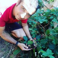 Selçuk Şahin's Photo