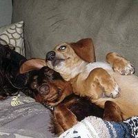 Фотографии пользователя Sabrina Pakzad