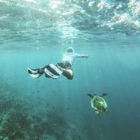 Michael Costantino的照片