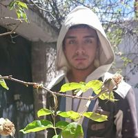 Fotos von Nick Béjar