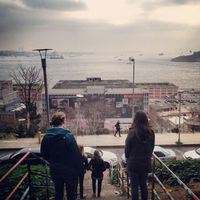 Kathleen Black的照片