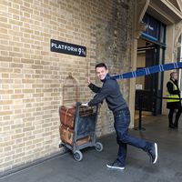 Cameron Kurotori的照片