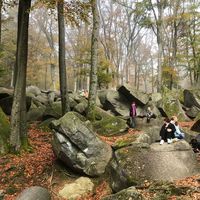 Dieter Wilhelm's Photo