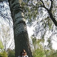 Rebecca Conner's Photo