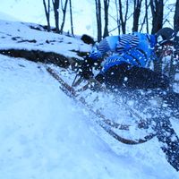 Billy-Joe Bobach的照片