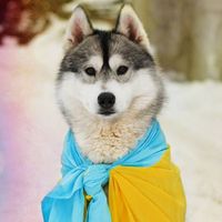 Ilona Didkovska's Photo