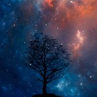 sahar islam的照片