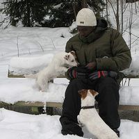 Vincent Ogutu's Photo