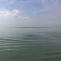 Ethan Manning的照片