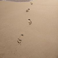 oier aizkorbe's Photo