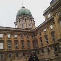 Bruno Cordeiro's Photo