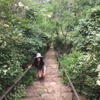 Marianna Auriemma的照片