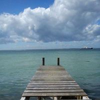 Fergus Taylor's Photo