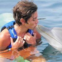 Gaston Falcone's Photo