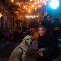 Vente Vente的照片