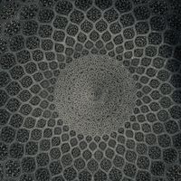 Anton Feuser的照片