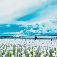 Bui Ngoc Dieu的照片