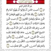 Fotos de mehdi Rosso