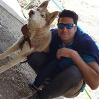 Ahmad Reza Saadi的照片