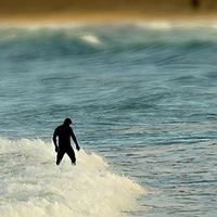 Fotos de David Beedie