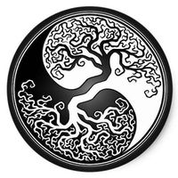 Sozialdienst Psychiatrie's Photo