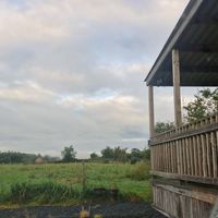 Fotos de Paul Cavanagh