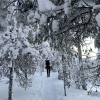 Florian Pistner的照片