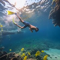 Prashant Yadav's Photo