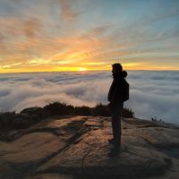 Alex  o viajante的照片