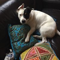 Selena Baziotopoulos's Photo