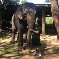 Federico Alvarez Gonzalez的照片