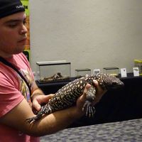 Rafa Martinez's Photo