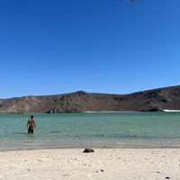 Armando Aviles的照片